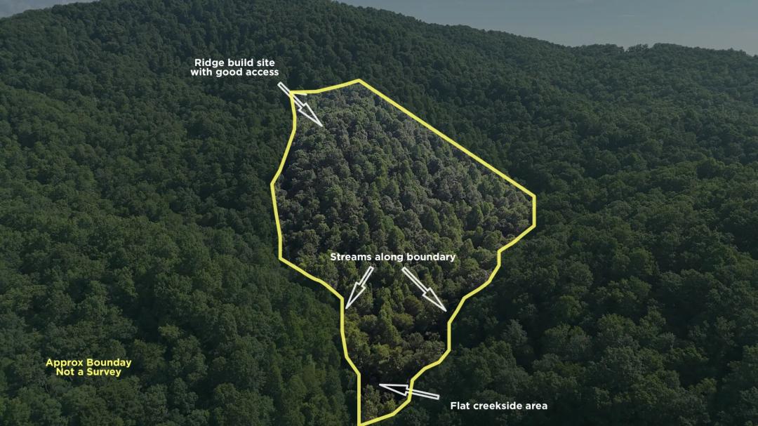 13.81 Acres at 454 Forest Brook Dr