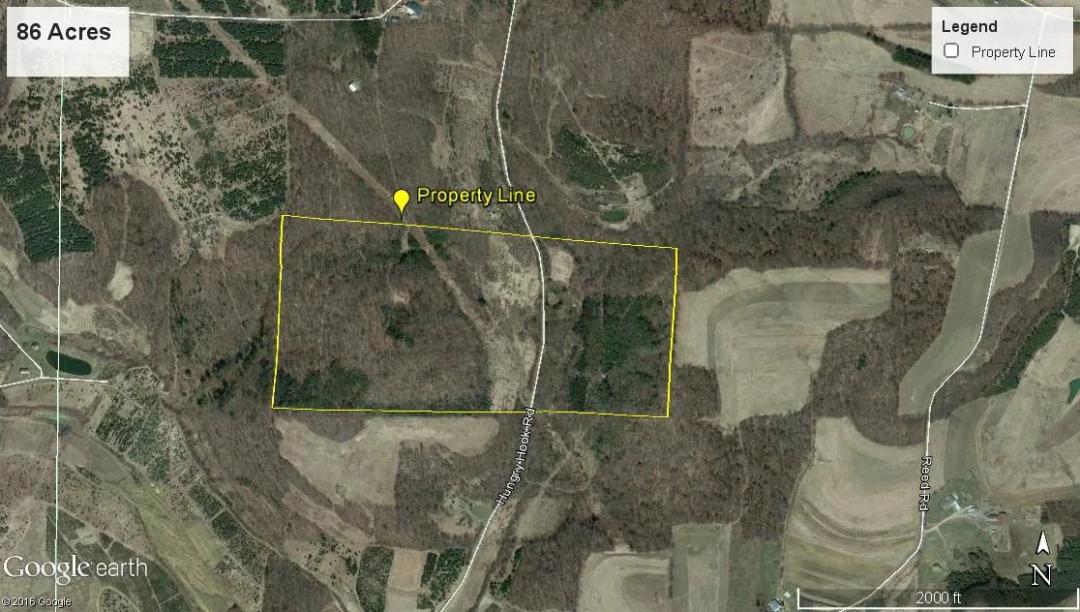 60.00 Acres at 1 Sherry Hollow Rd