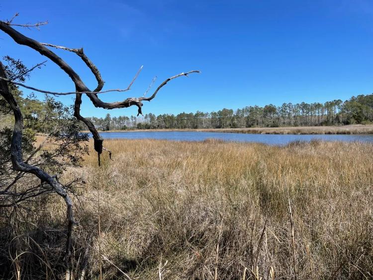 Waterfront Homesite for Sale in Beaufort NC 