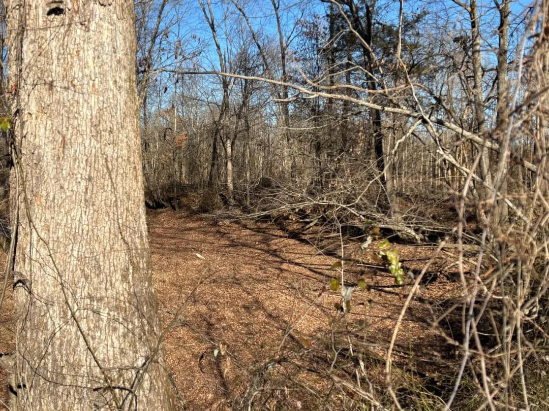 100+- Big Creek White County