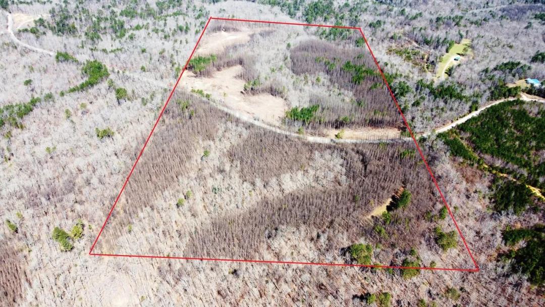Bankhead National Forest Homesites
