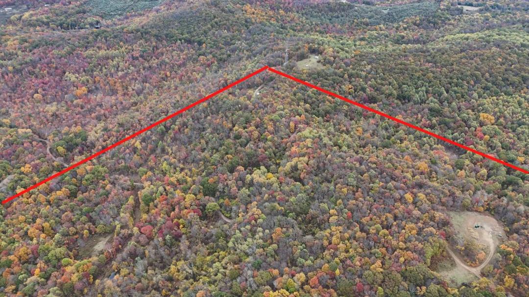 75.56 Acres at 0 Braughler Rd