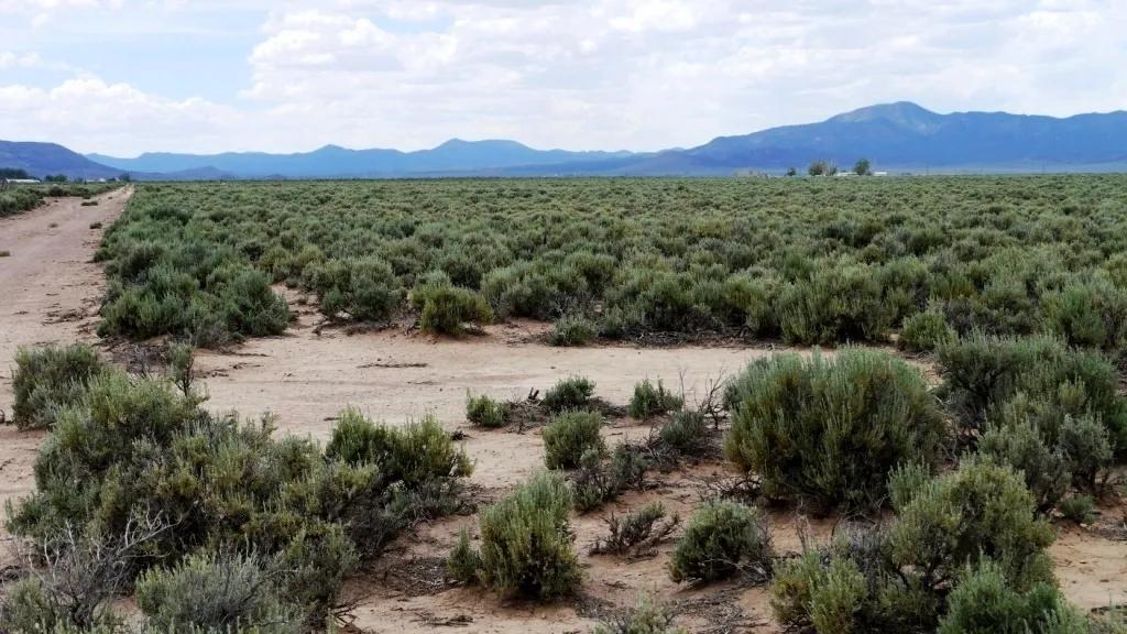 4 individual adjoining 1.1 acre parcels near Modena SW Utah