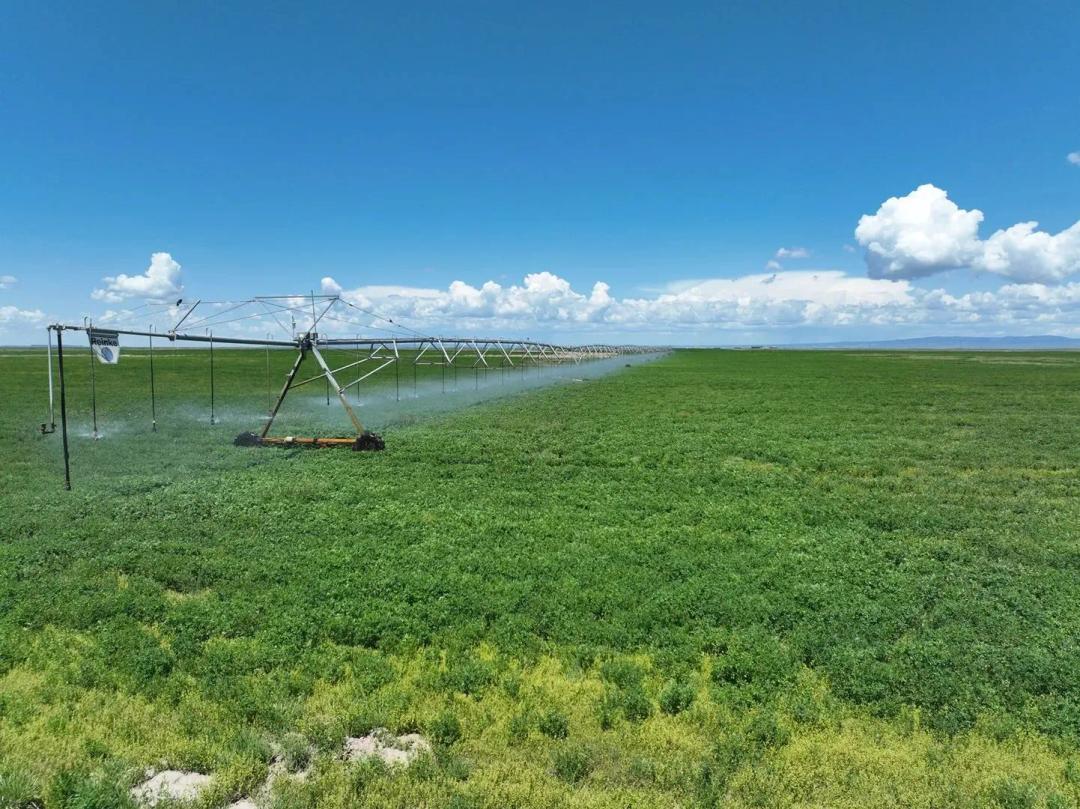 Eastern Oregon Ranch for Sale in Harney County