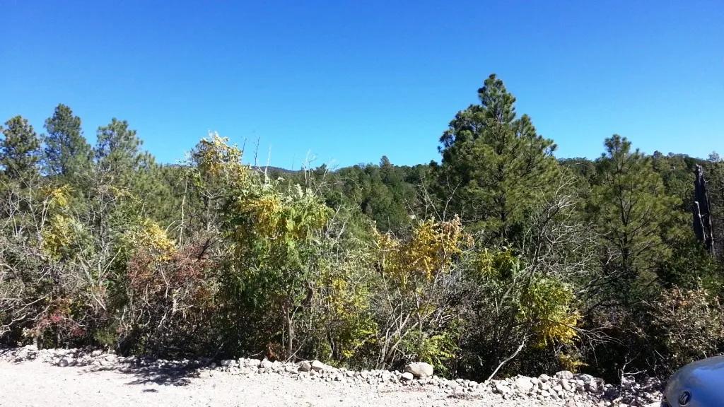 Timberon New Mexico * 30 miles south of Cloudcroft In the mountains * Power and water at street