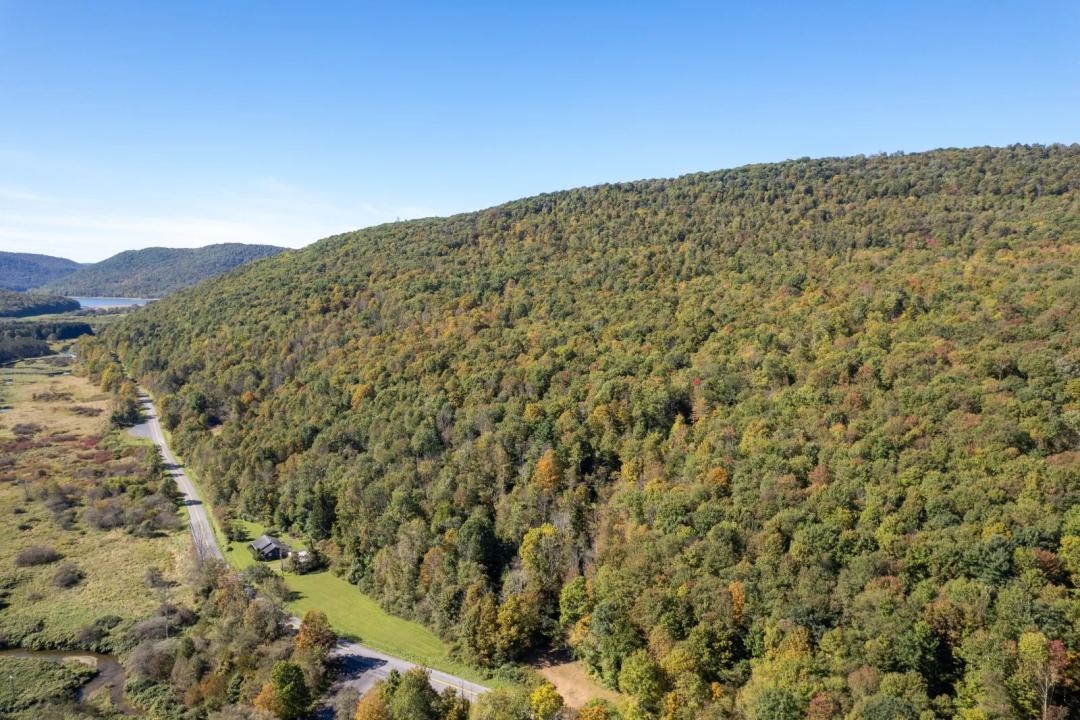 80 Mountainside Acres with Trails- BORDERS STATE LAND
