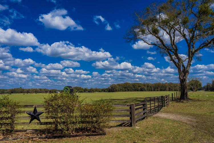 NORTH FLORIDA FARM AND RANCH WITH ACREAGE FOR SALE