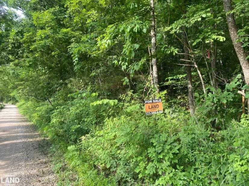 Little Piney Acres Tract 2