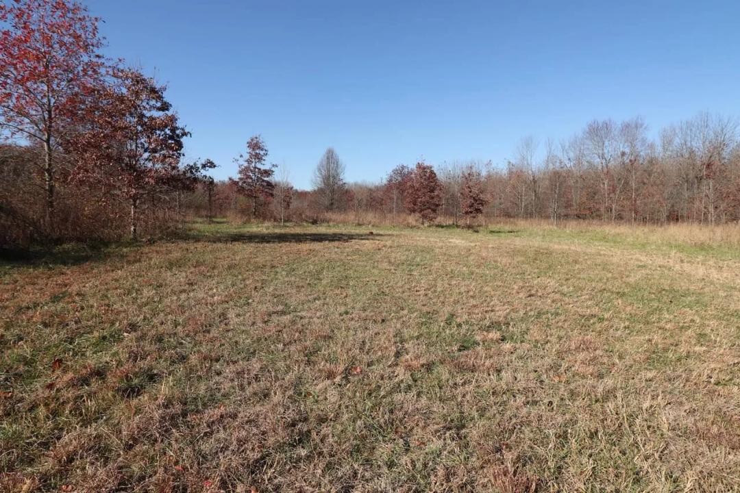 116 +/- Acres near Batesville, AR