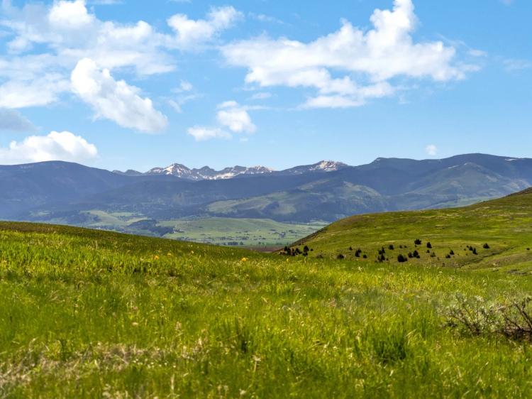 Gallatin Views </br>at Montana Ranch