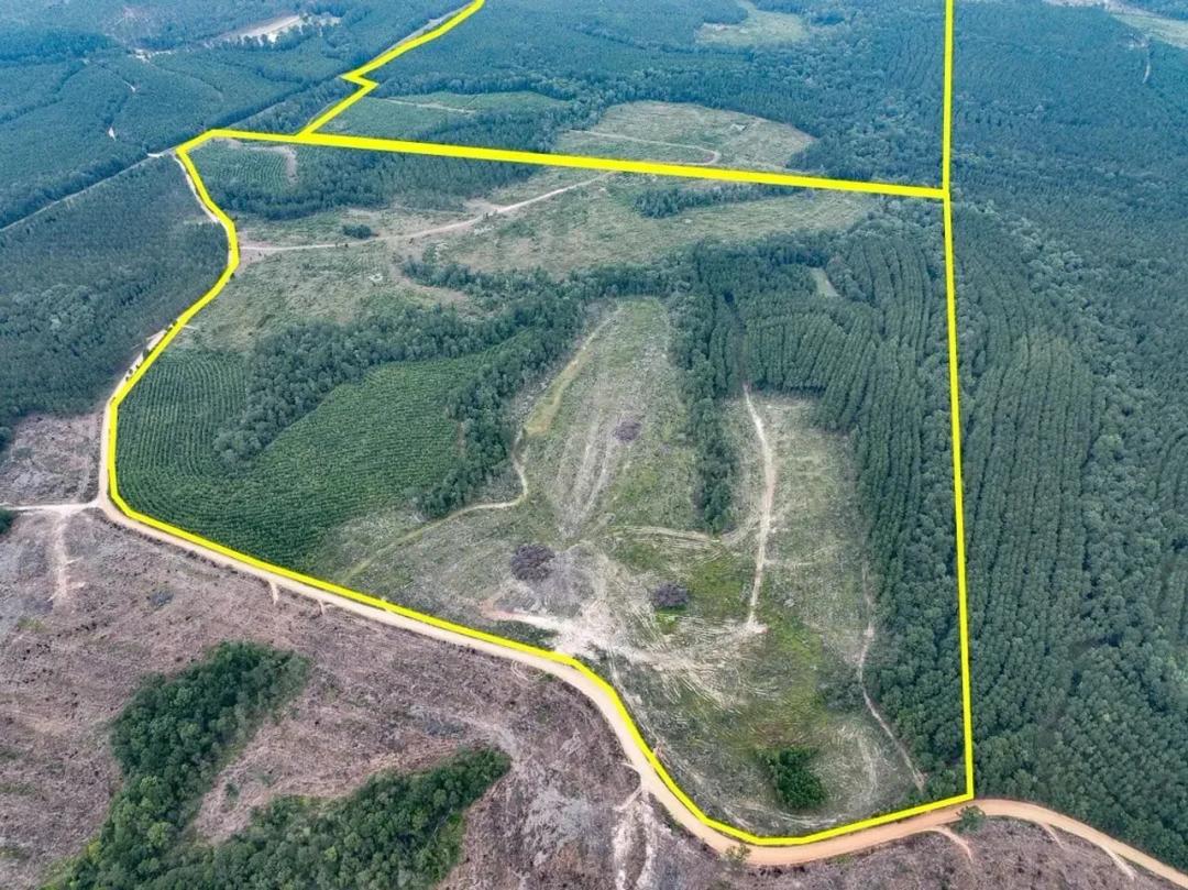 265 Acres | T-2 | Bar D Ranch