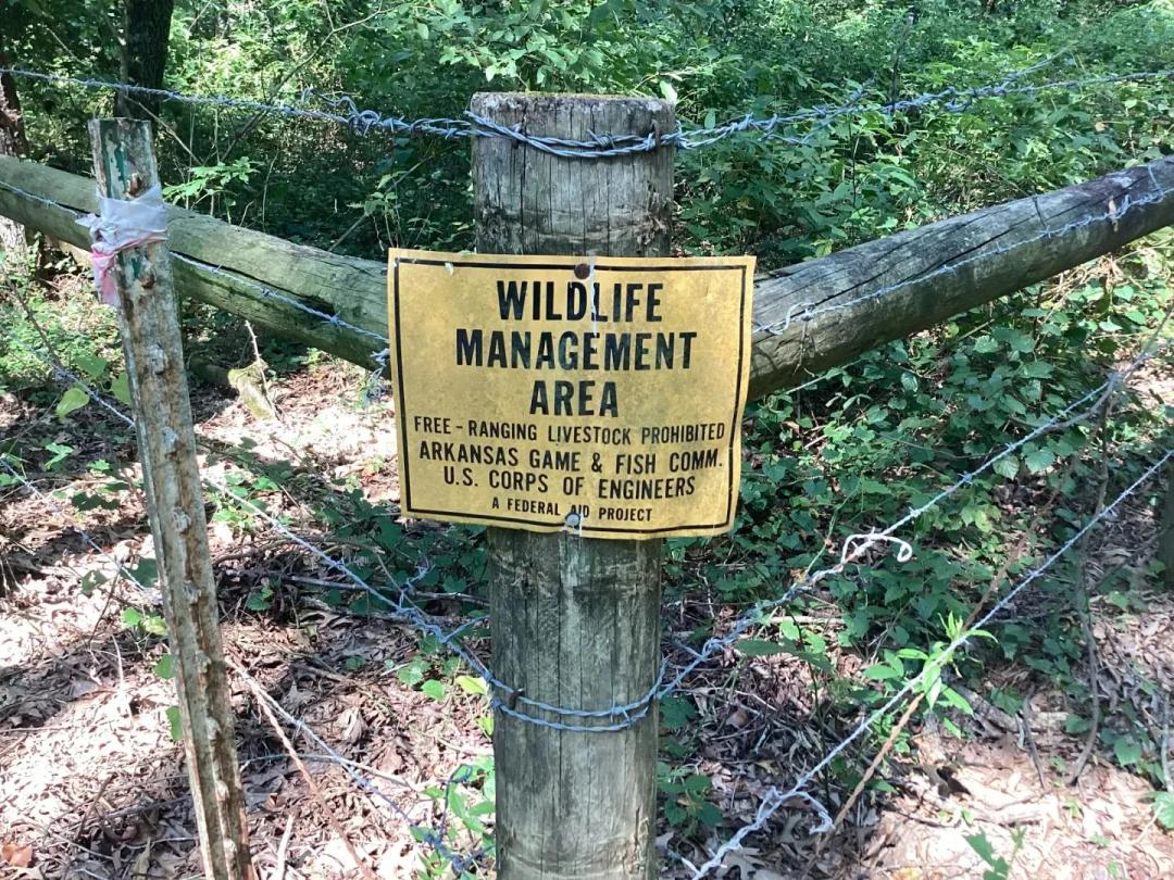 38 Acres in Conway County, AR