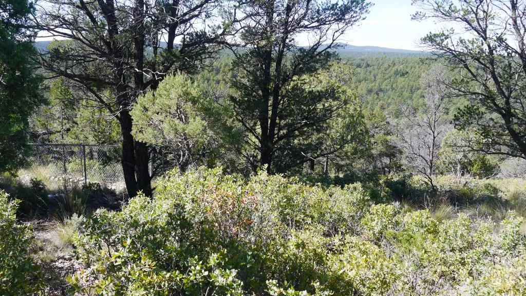 Timberon New Mexico * 30 miles south of Cloudcroft In the mountains