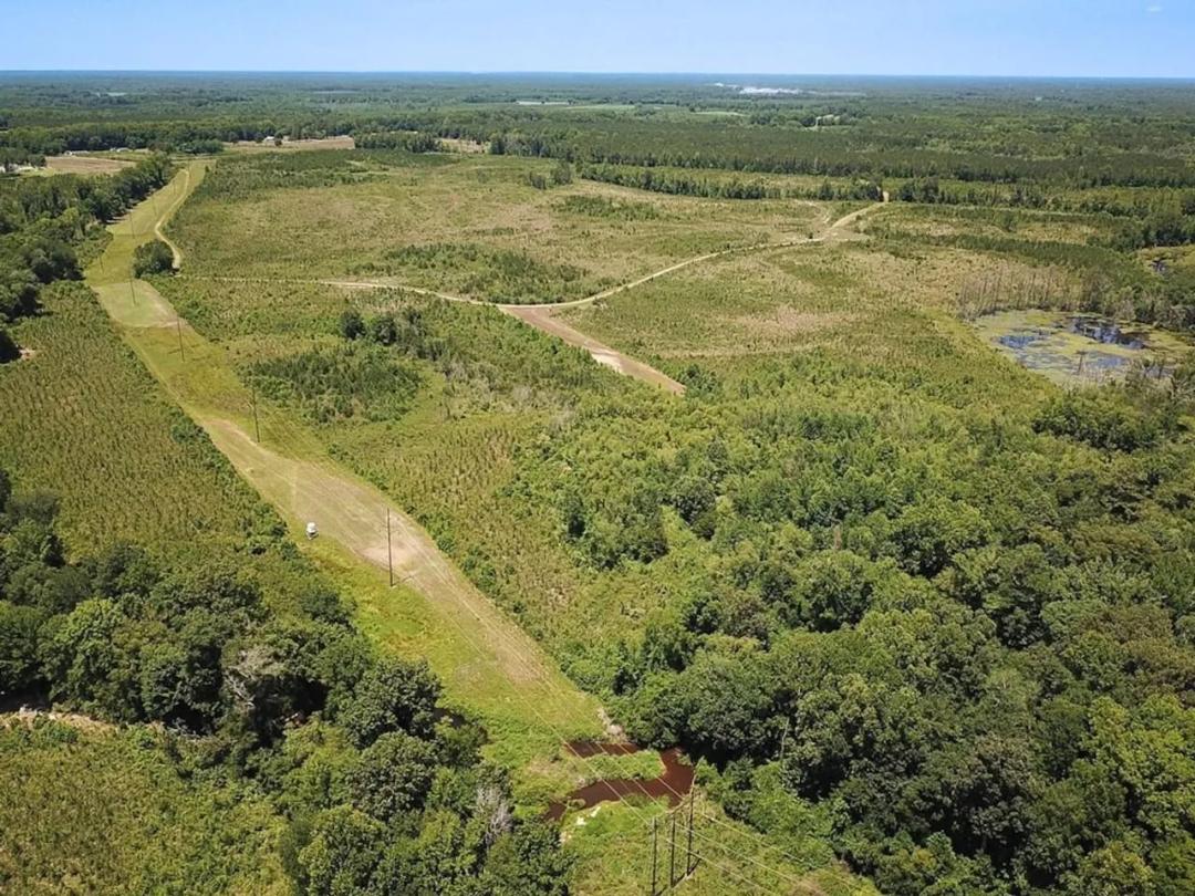 229 Acres of Timber and Hunting Land for Sale in Greensville County Virginia!