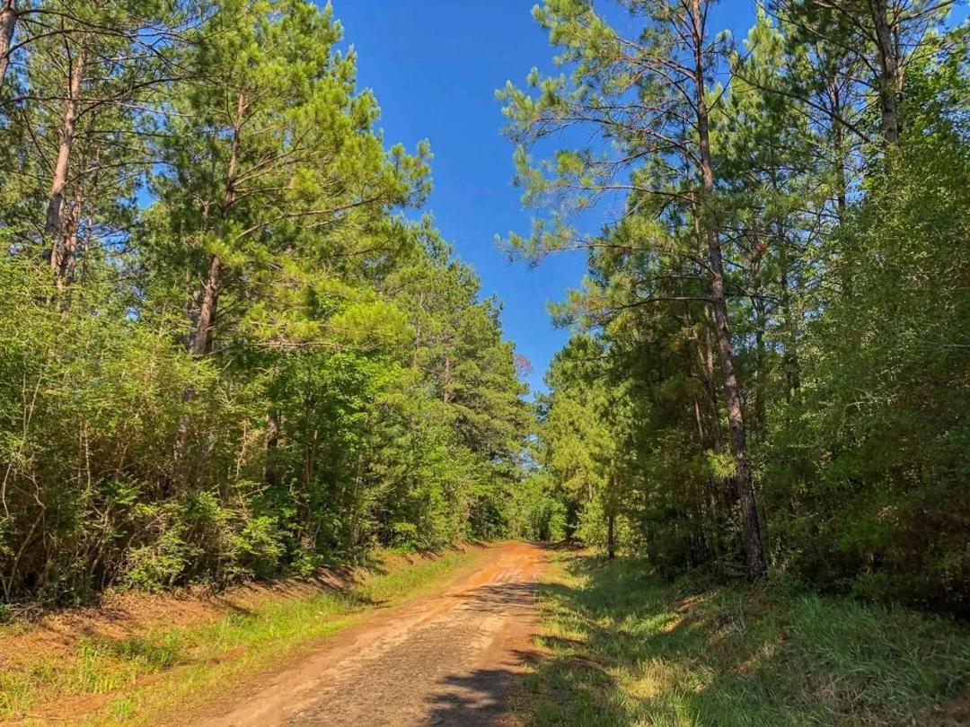 27 Acres | T-4 | Saron | CR 367