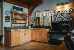 carls house kitchen