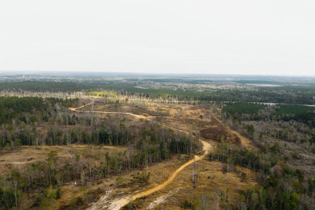 The Cross Tract - 216 Acres of Opportunity in Perry County, Miss