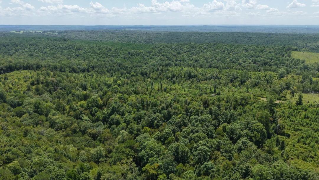 34.29 +/- acres in Gillham, AR