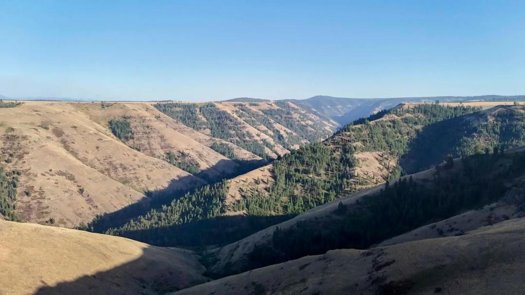 Big Sheep Ranch