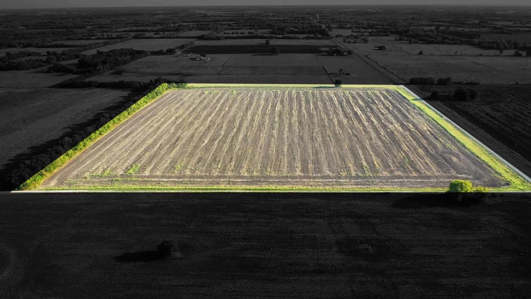 Farm and Ranch Land For Sale Roxton TX