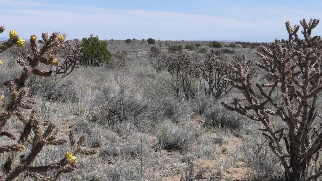 Rio Rancho New Mexico Land for sale - 1+ acre parcel in Rio Rancho Estates
