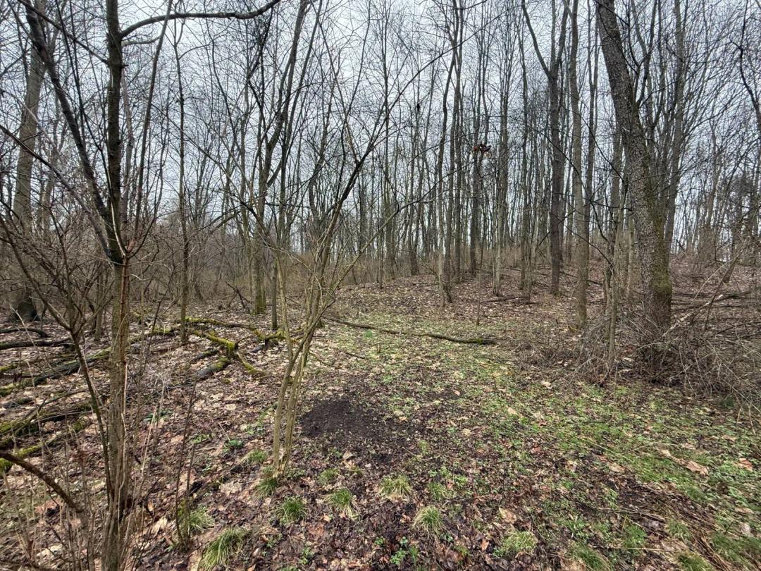 34 Acre Hunting Land in Lawrence County PA