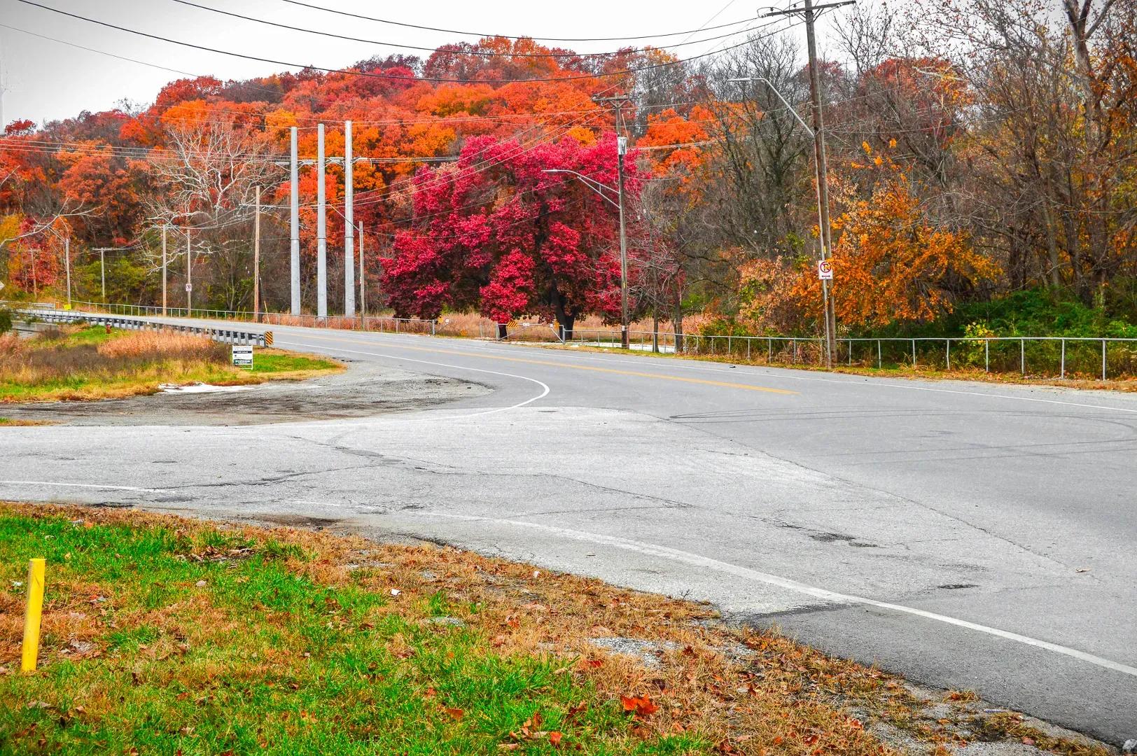 Fall Colors at Intersection