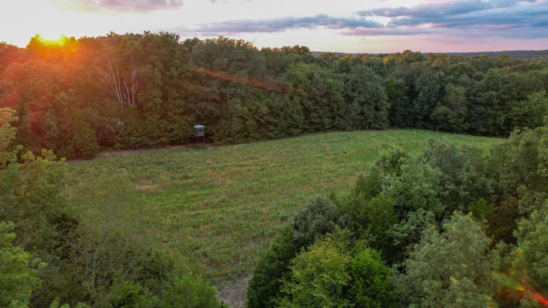 Yellow Creek Hunt and Retreat