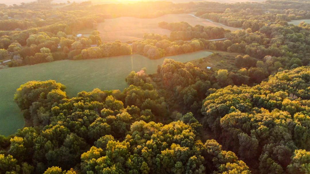 Knox County, Illinois 62 Acres For Sale(SALE PENDING)
