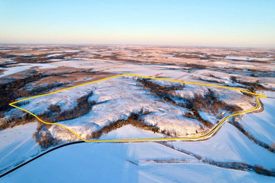 Land Auction: Tract 2 - Dixon - 145 +/- Acres; Premium Hunting/P