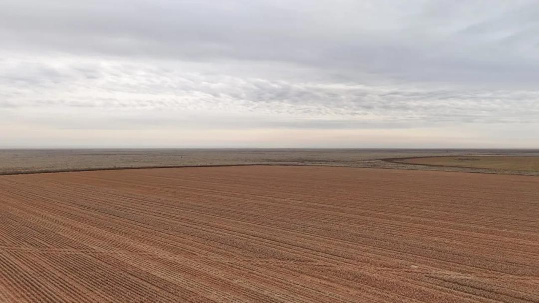 288.5± Acres Cochran County