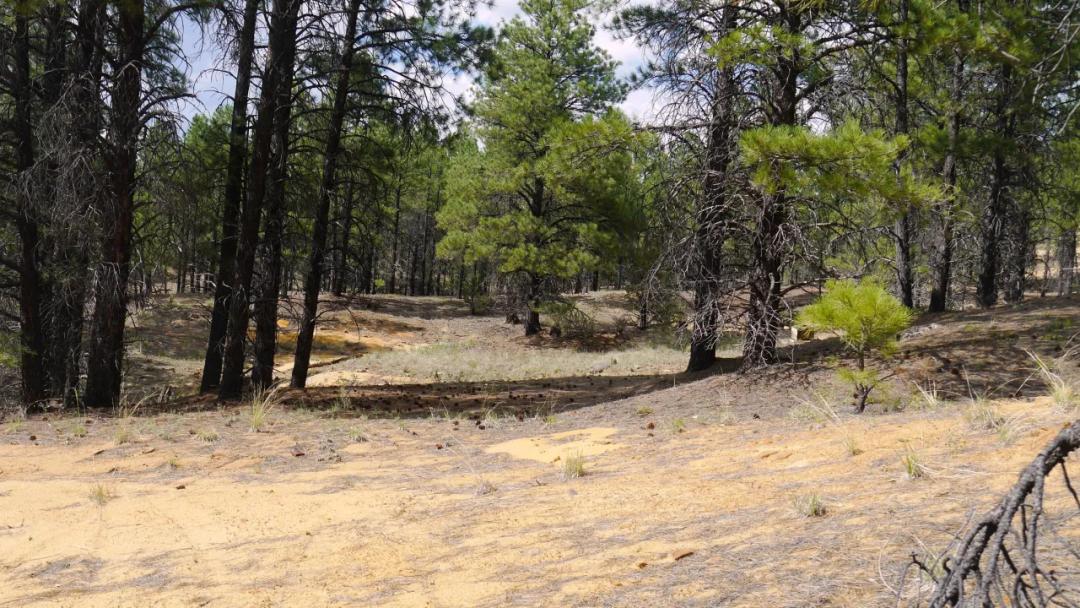 Unique Rock Formations ~ Views ~ Trees near Cuba New Mexico
