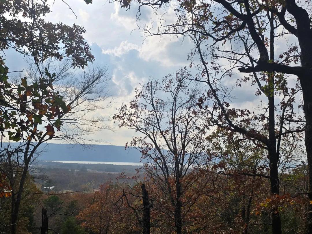 30 ACRES WITH SARDIS LAKE VIEW