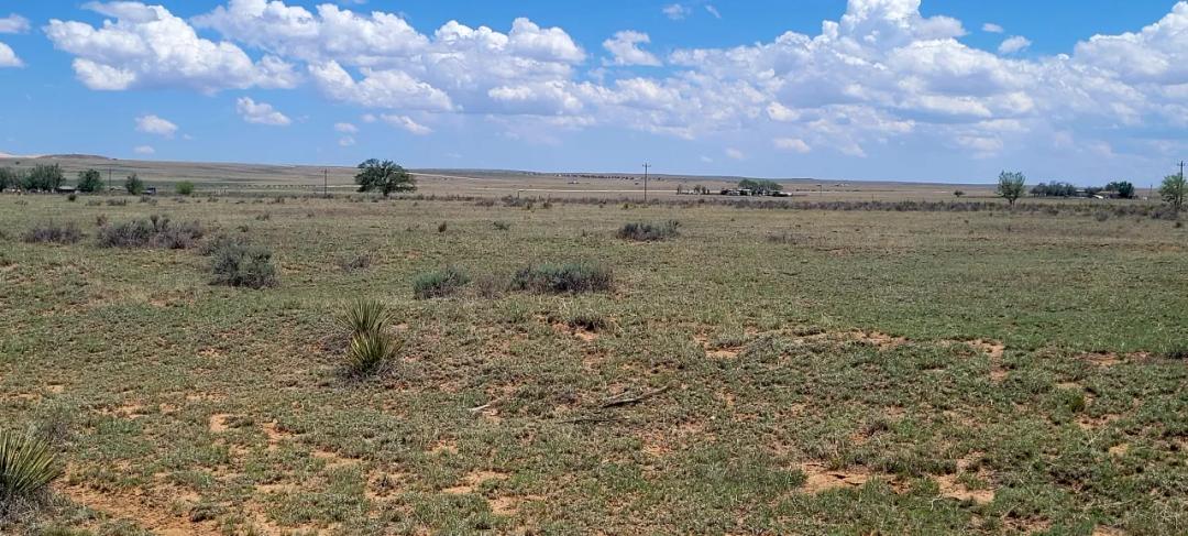 Moriarity New Mexico Central New Mexico land