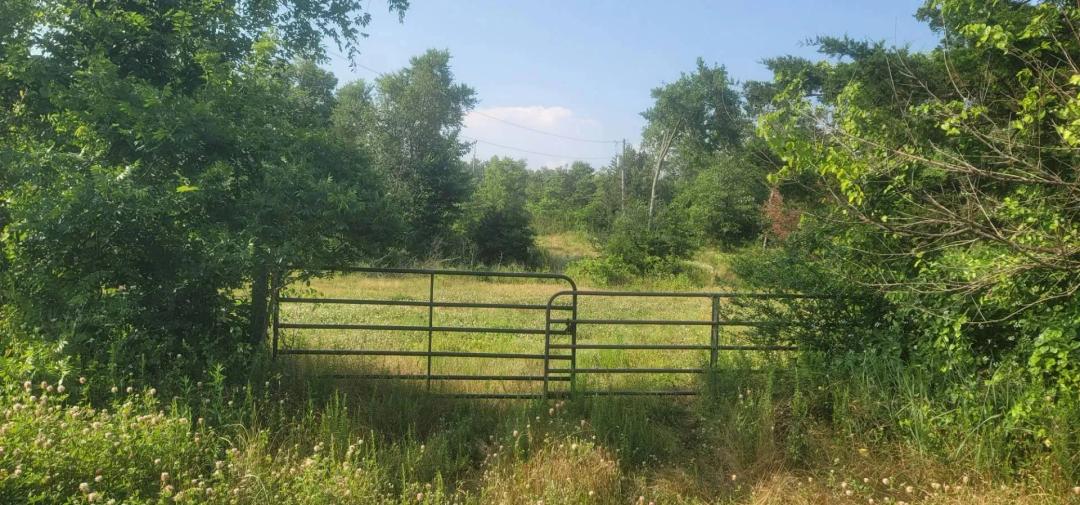 COUGAR RIDGE RANCH - SUPREME HUNTING LAND - NEW PRICE!