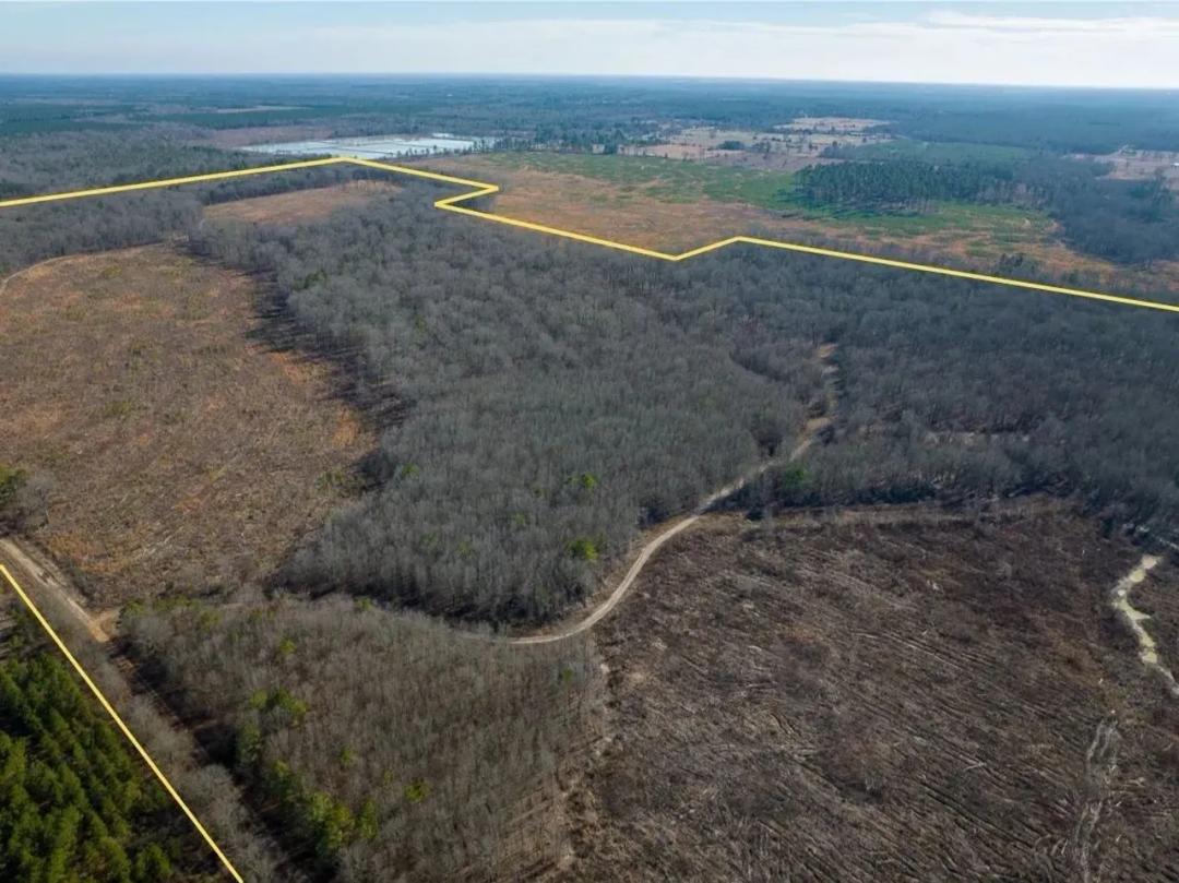 630 Acres | Highway 37 | 3873