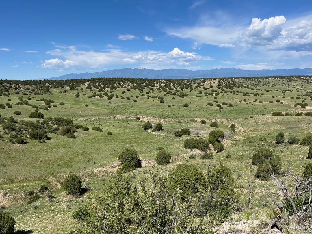 Hatchet Ranch 54