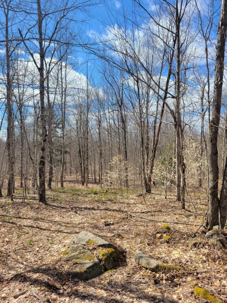 55 acre Hunting Land with Equipment Building Clare NY