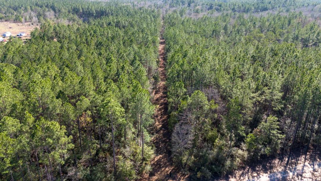 0 Whispering Pines Drive, Lumberton, Texas, 77657 Hardin County