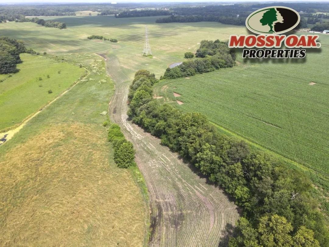 LaPorte County, IN | 38.3± Acres of Productive Tillable Land for Sale