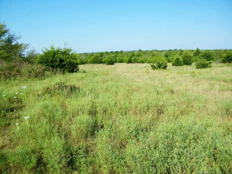 110 Acre Hunting Land with Creek in Pawnee County
