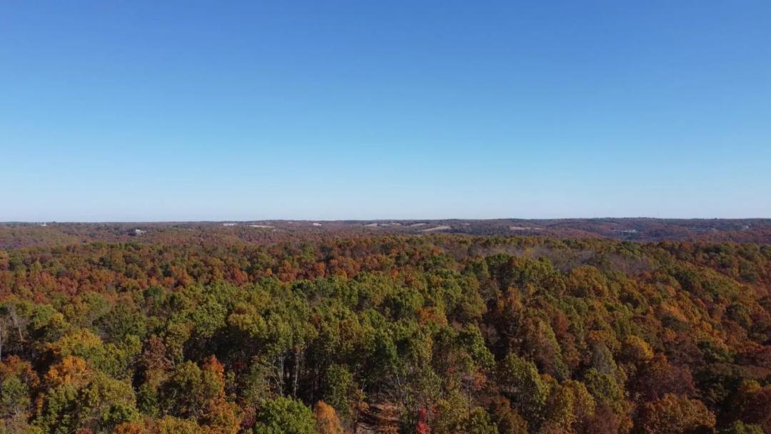 Boone County 160