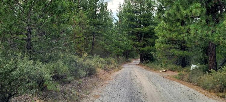 Southern Oregon Residential Homesite in the Trees