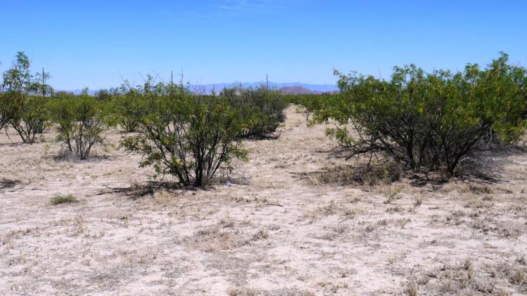 Remote Arizona Desert Land * Seclusion Mountain views
