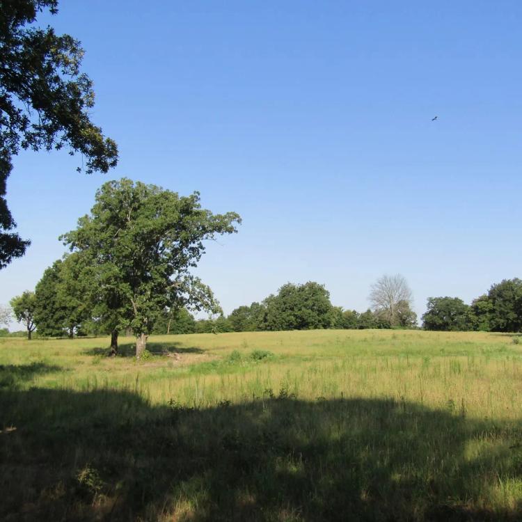 Prime Building Rolling Hill Tracts Choctaw County, OK Tract 2