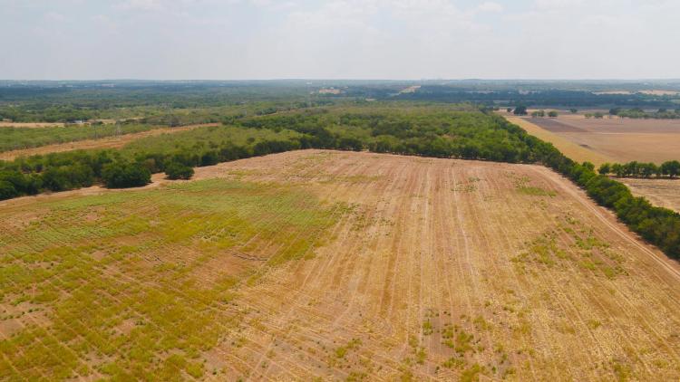 40 Acres in Milam County