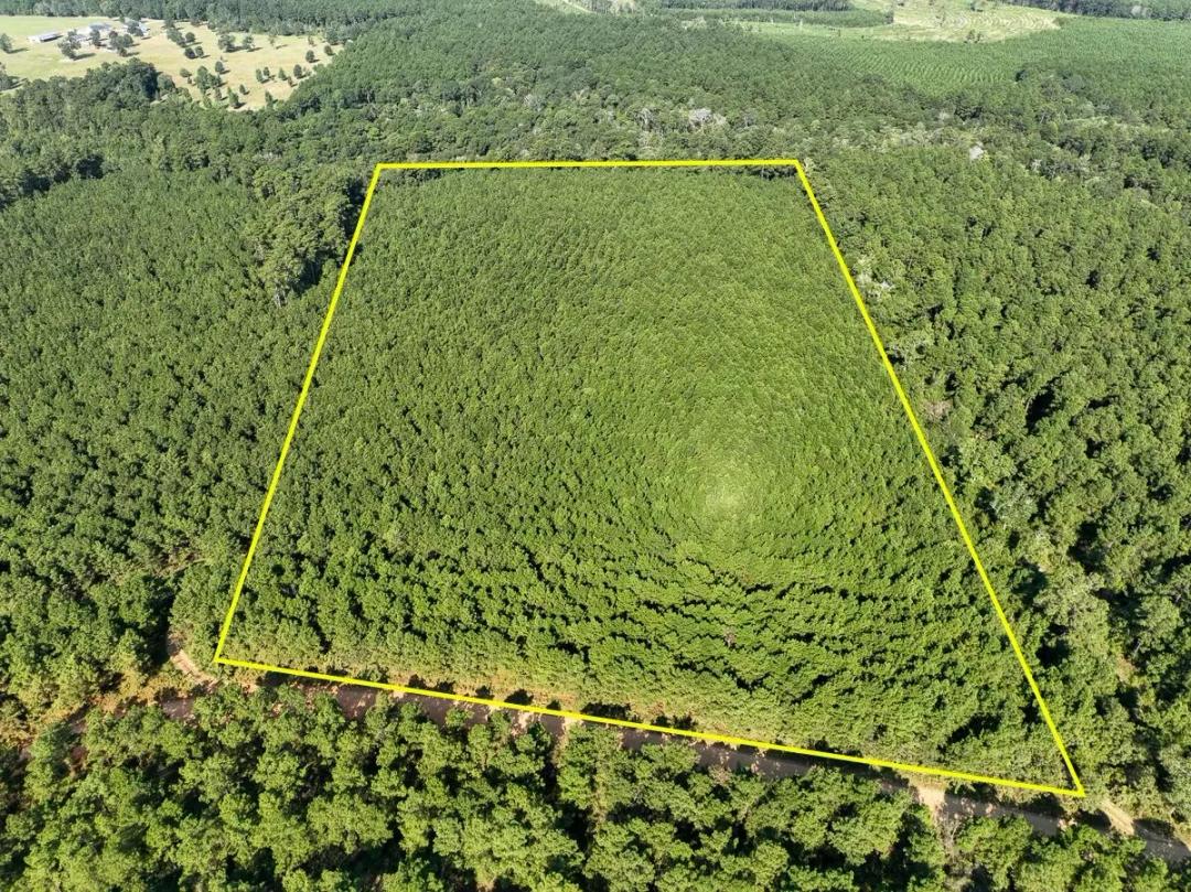 21 Acres | Shady Grove Road (CR 2175)