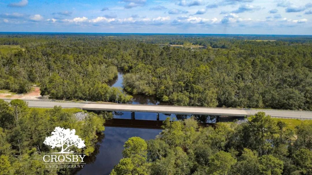 Alapaha River Tract #2