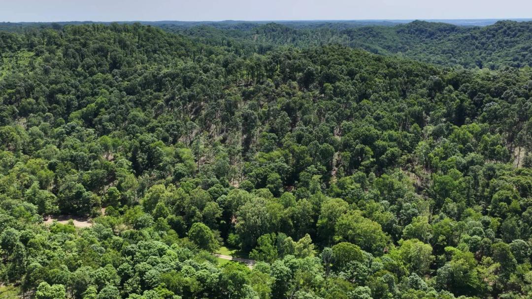 Pike County Ohio Land for Sale | 38 Acres | Road Frontage