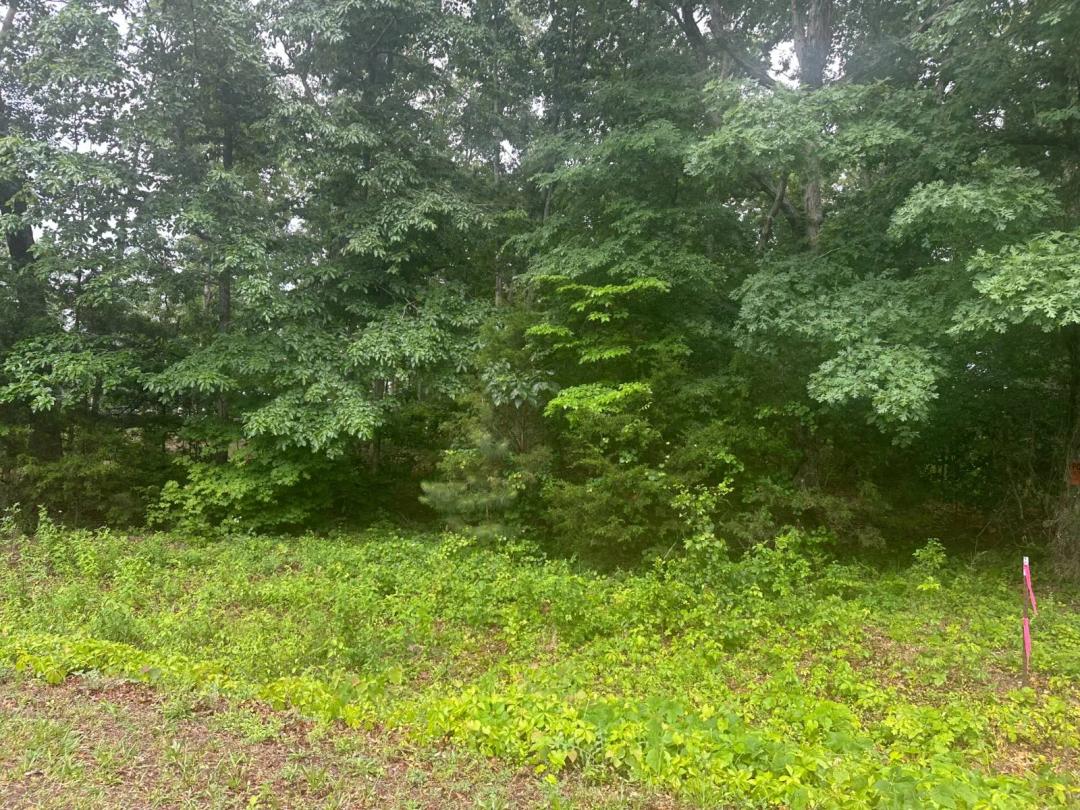 1.28 Acres Near Kentucky Lake-Surveyed and Ready for your Vision